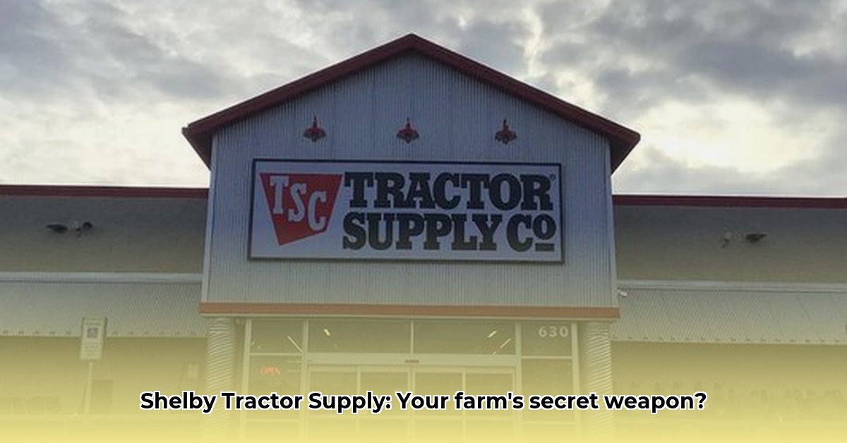 shelby-tractor-supply